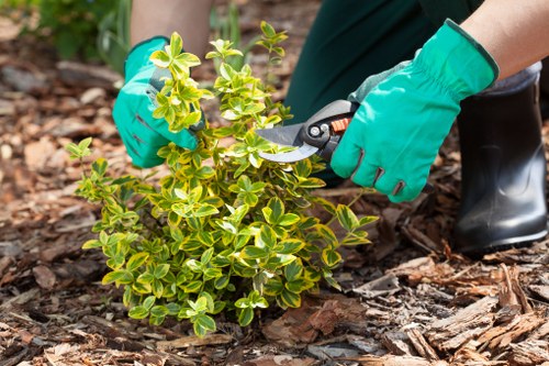 Responsible waste handling and green waste collection in a Barkingside street